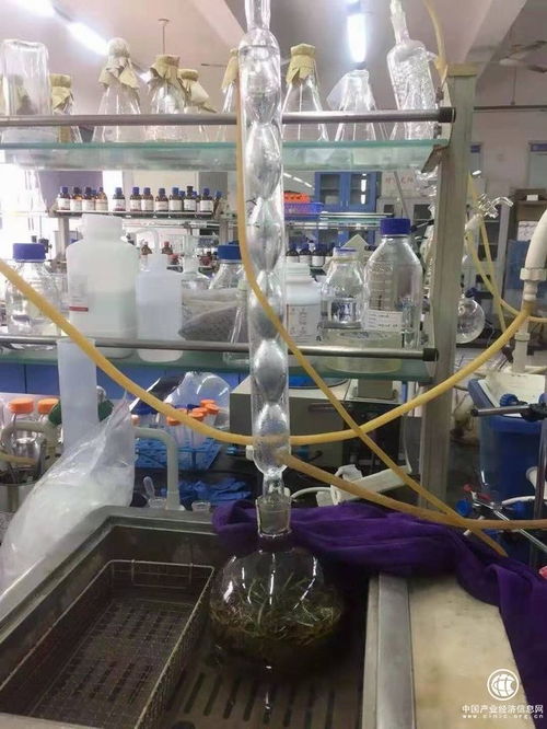 吉林柳河縣 以葡聚糖大米技術開發引領農業升級，推動農民持續增收