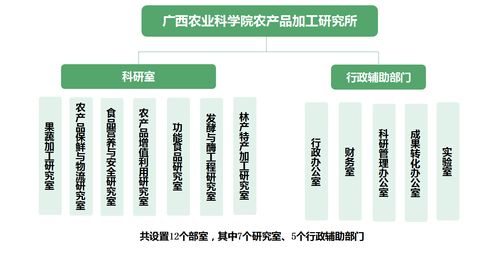 跨界融合 廣西農科院農產品加工研究所的醫學研究與試驗發展新路徑