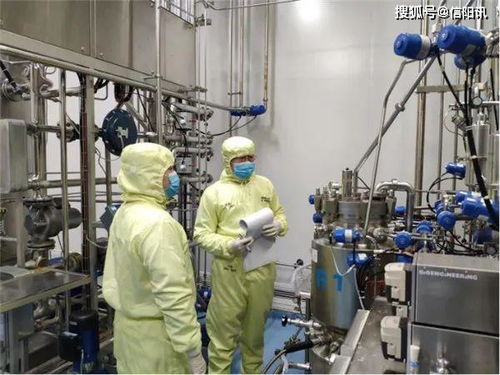 英雄武漢有序重啟 科研鏡頭聚焦醫學研發新篇章